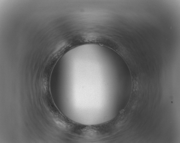 X0000077350648200610271829