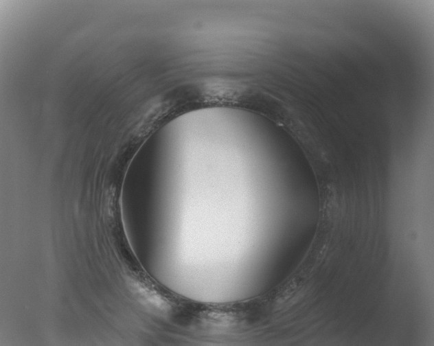 X0000077350649200610271829