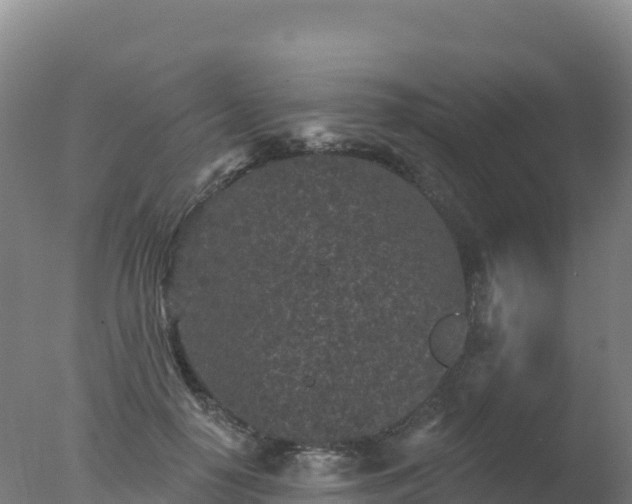 X0000077350650200610271829