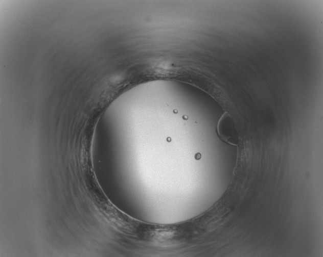 X0000077350651200610271829