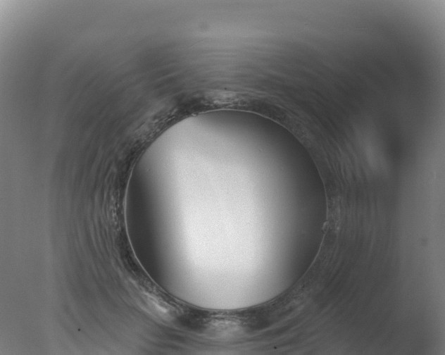 X0000077350653200610271829