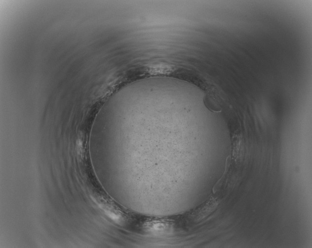 X0000077350655200610271829