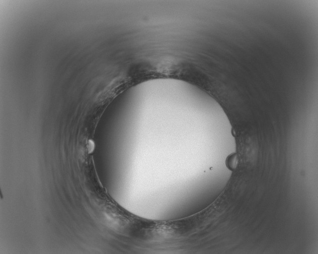 X0000077350656200610271829