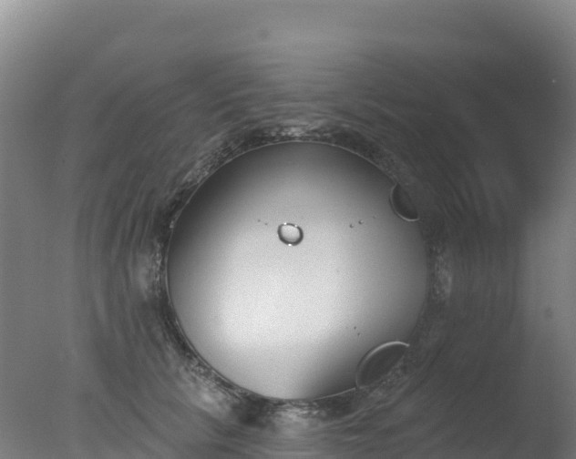 X0000077350657200610271829