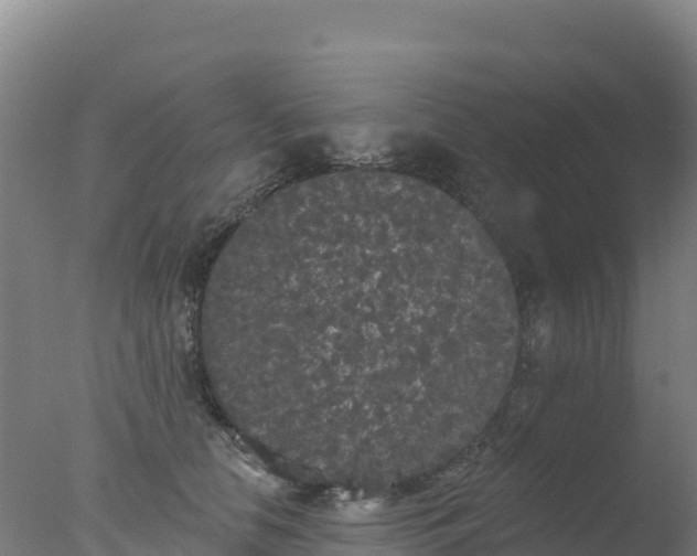 X0000077350658200610271829