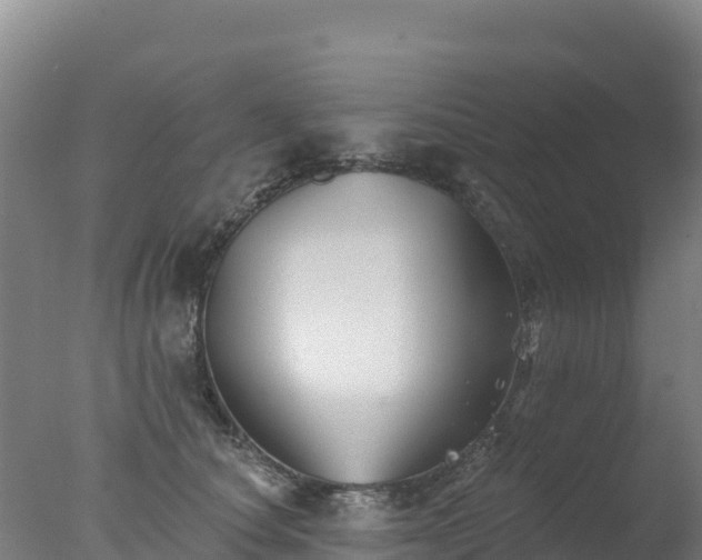 X0000077350660200610271829