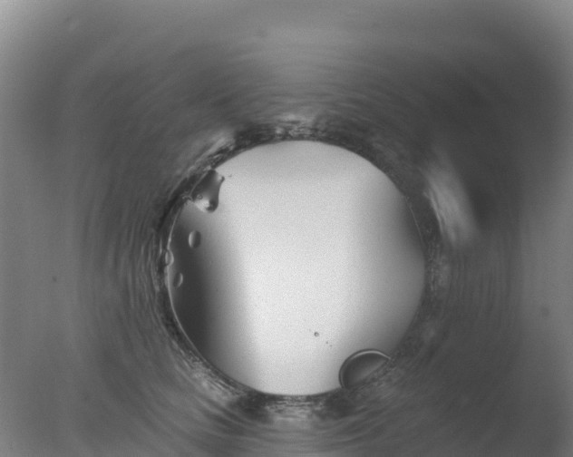 X0000077350661200610271829