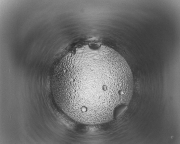 X0000077350662200610271830