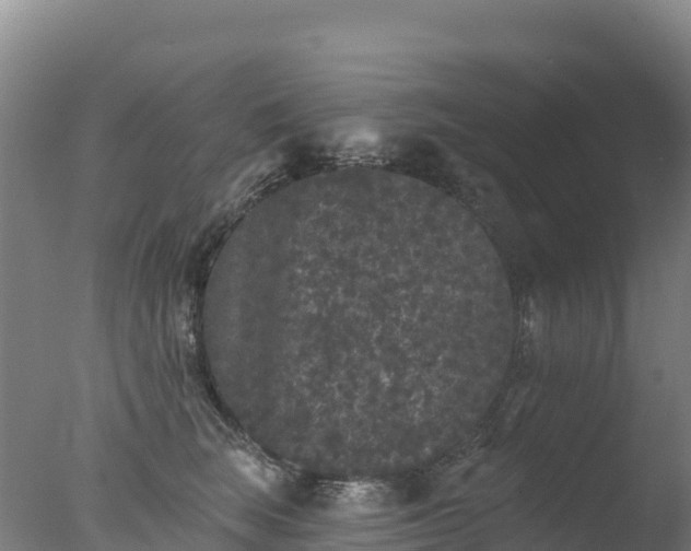 X0000077350663200610271830