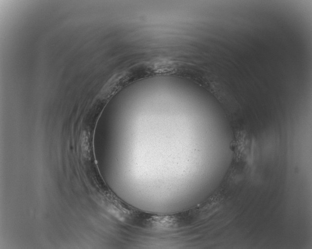 X0000077350667200610271830