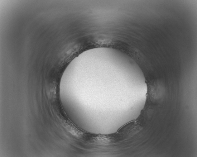 X0000077350668200610271830