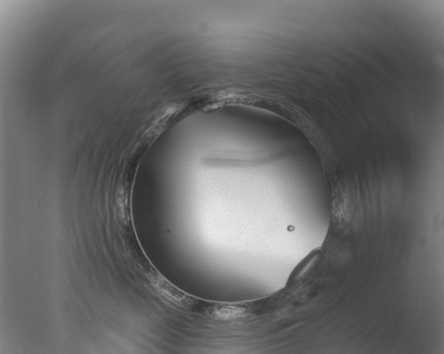 X0000077350669200610271830