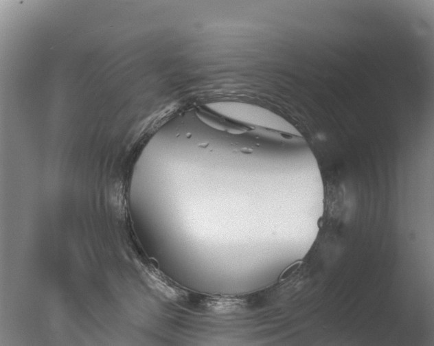 X0000077350670200610271830