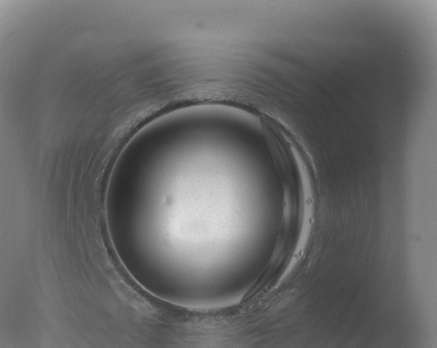 X0000077350673200610271829