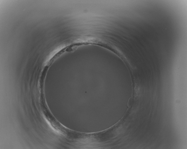 X0000077350674200610271829