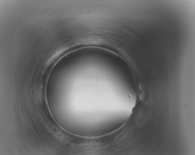 X0000077350675200610271829