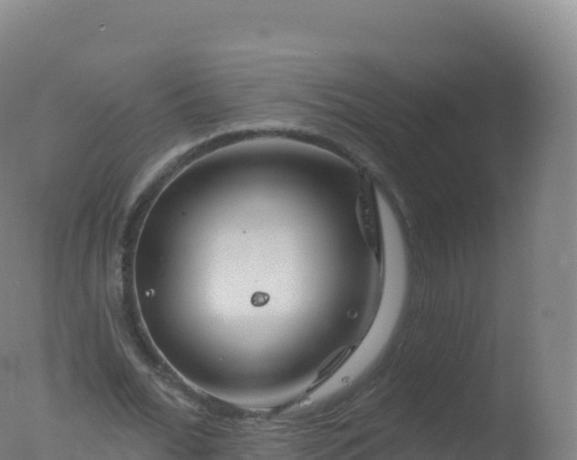 X0000077350676200610271829