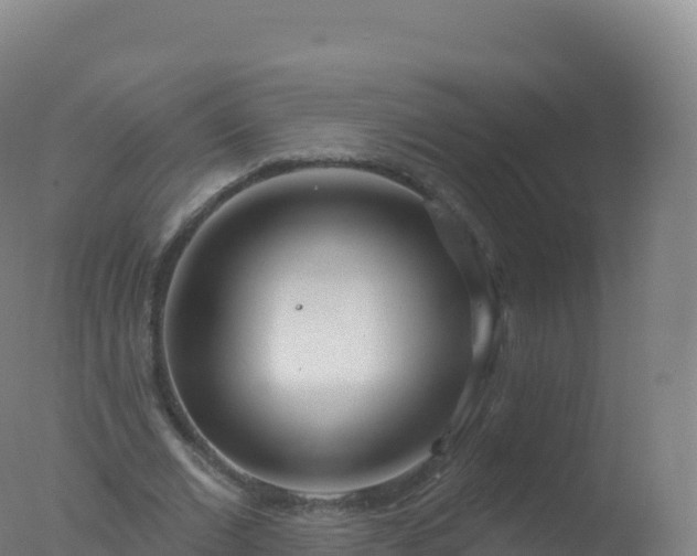 X0000077350677200610271829