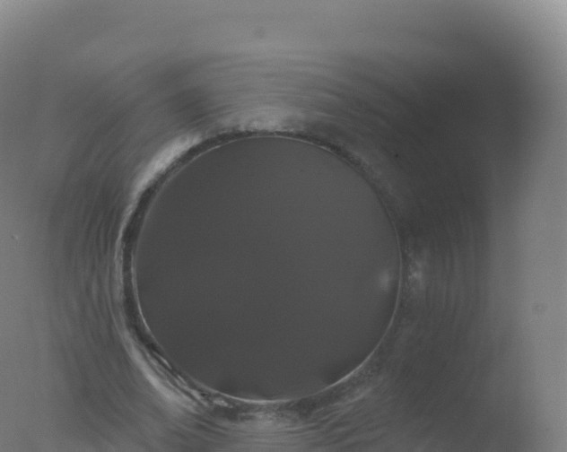 X0000077350678200610271829