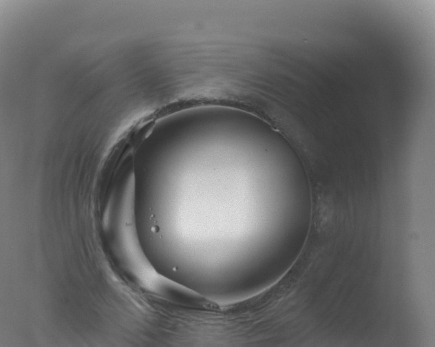 X0000077350680200610271829