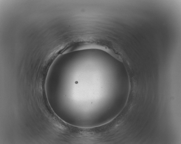 X0000077350681200610271829