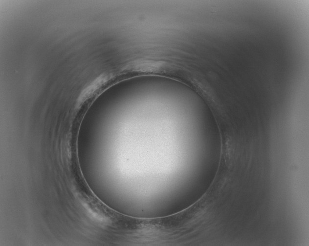 X0000077350682200610271829