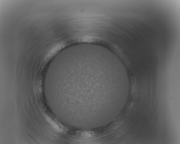 X0000077350683200610271829