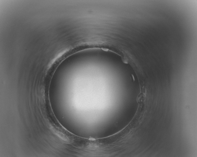 X0000077350684200610271829