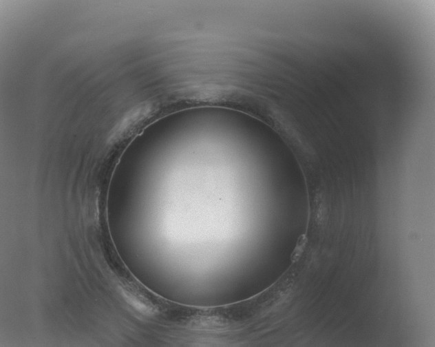 X0000077350685200610271829