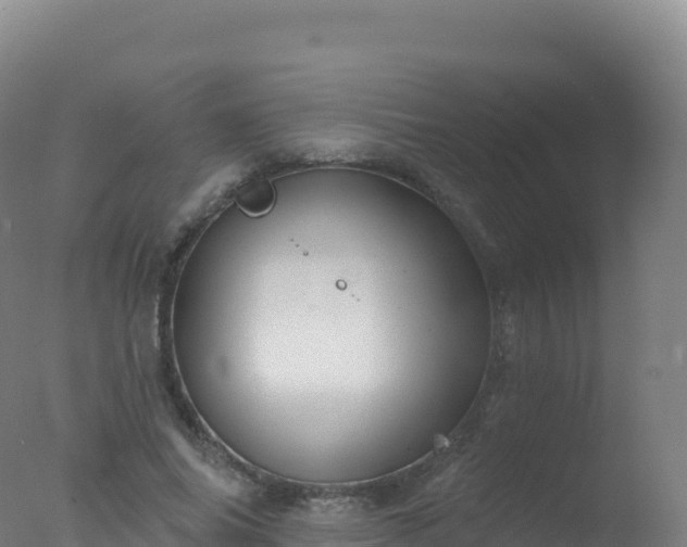 X0000077350686200610271829