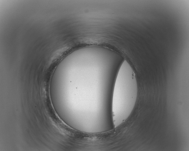 X0000077350688200610271829