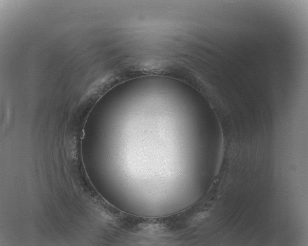 X0000077350689200610271829