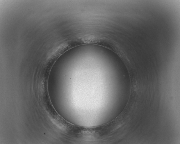 X0000077350690200610271829