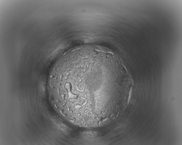 X0000077350691200610271829