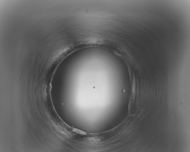 X0000077350692200610271829