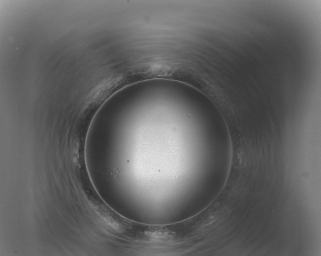 X0000077350693200610271829