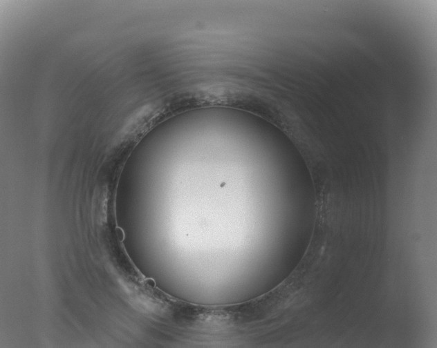 X0000077350694200610271829