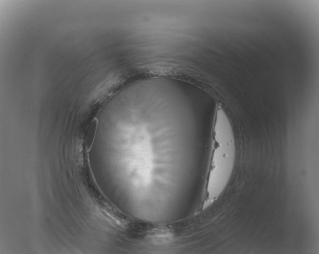 X0000077350696200610271828