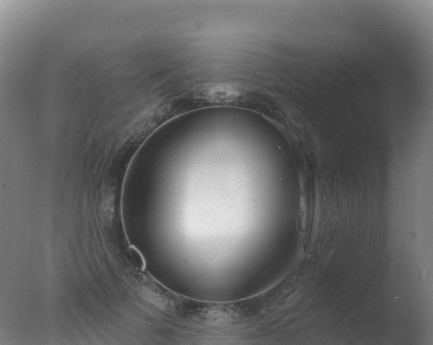 X0000077350697200610271828