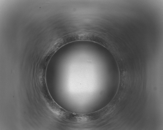 X0000077350698200610271828