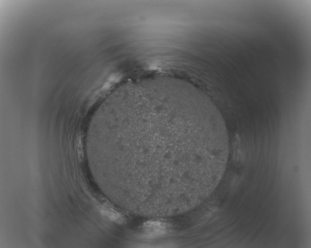 X0000077350699200610271828