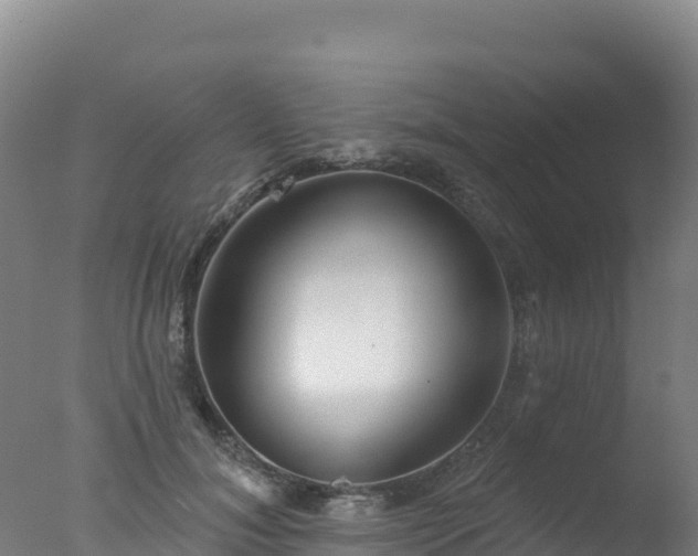 X0000077350700200610271828