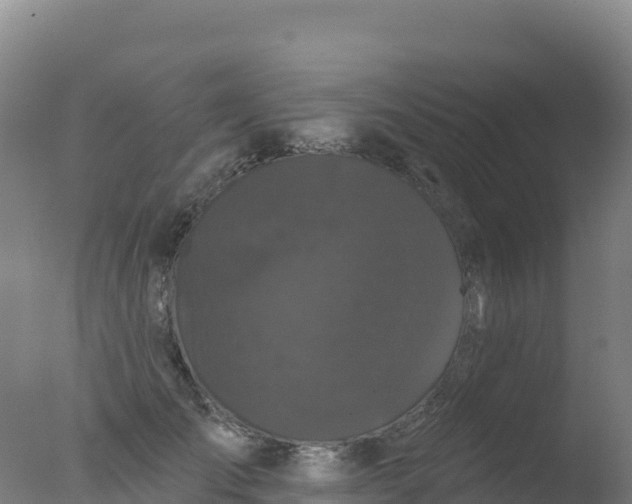 X0000077350701200610271828