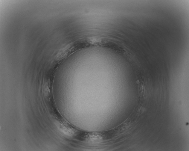 X0000077350702200610271828