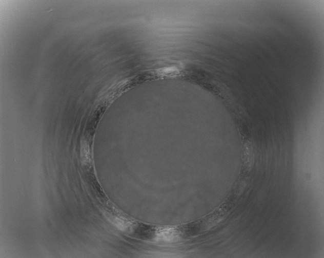 X0000077350705200610271828