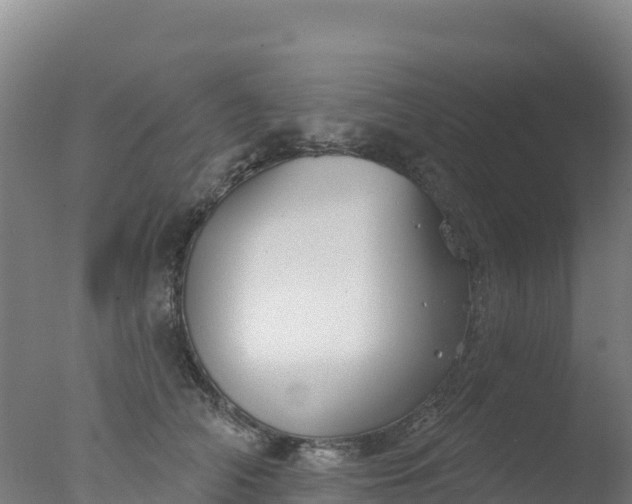 X0000077350706200610271828