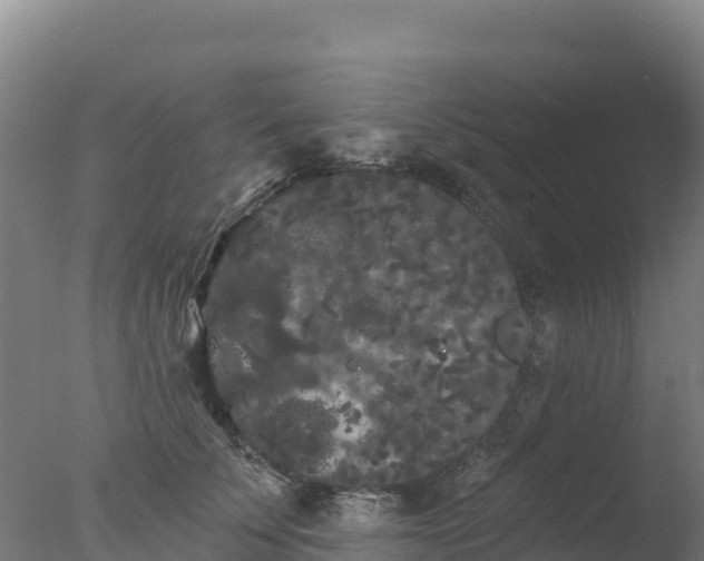 X0000077350707200610271828