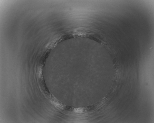 X0000077350709200610271828