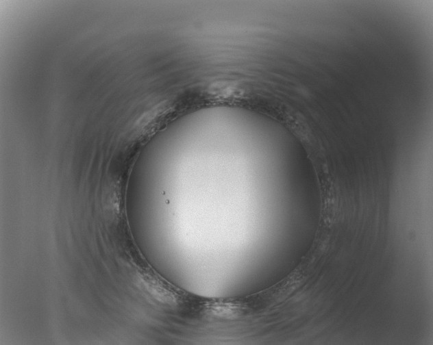 X0000077350710200610271828