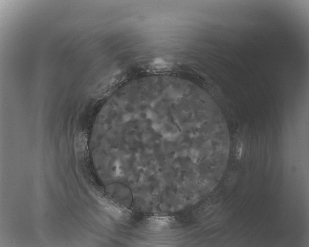 X0000077350711200610271828